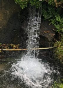 滝の水1