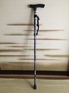 母のつえ